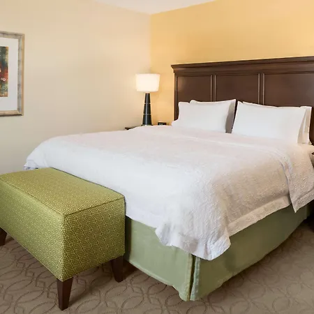 Hampton Inn & Suites Corpus Christi, Tx-2